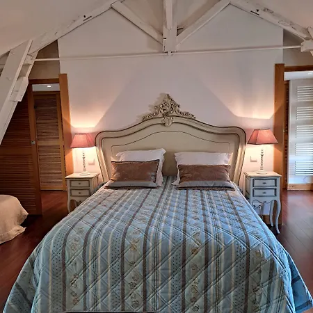 Chateau De Bed and Breakfast Lussac (Gironde)